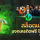 สล็อต microgaming เครดิตฟรี