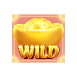 Wild Symbol