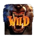 WEREWOLF HUNT WEREWOLF HUNT