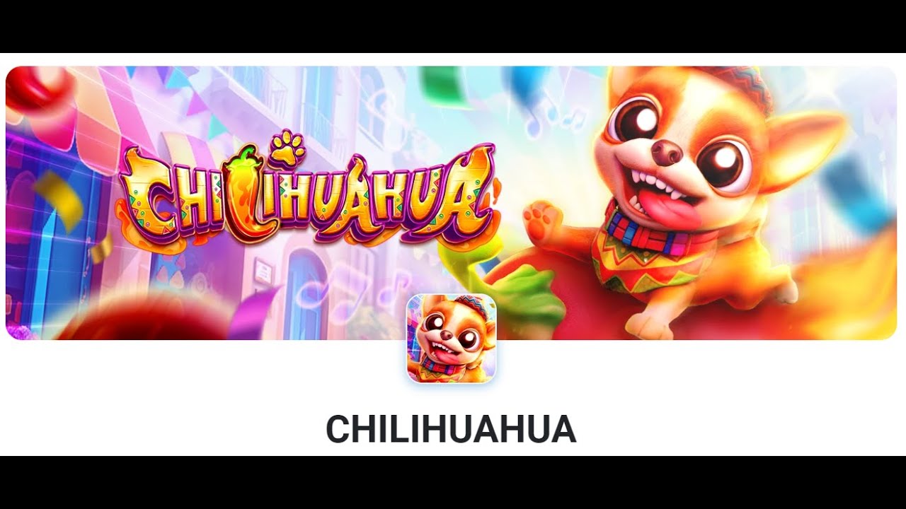 CHILIHUAHUA CHILIHUAHUA